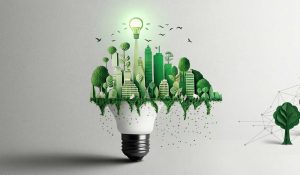 materiale de construcție eco
